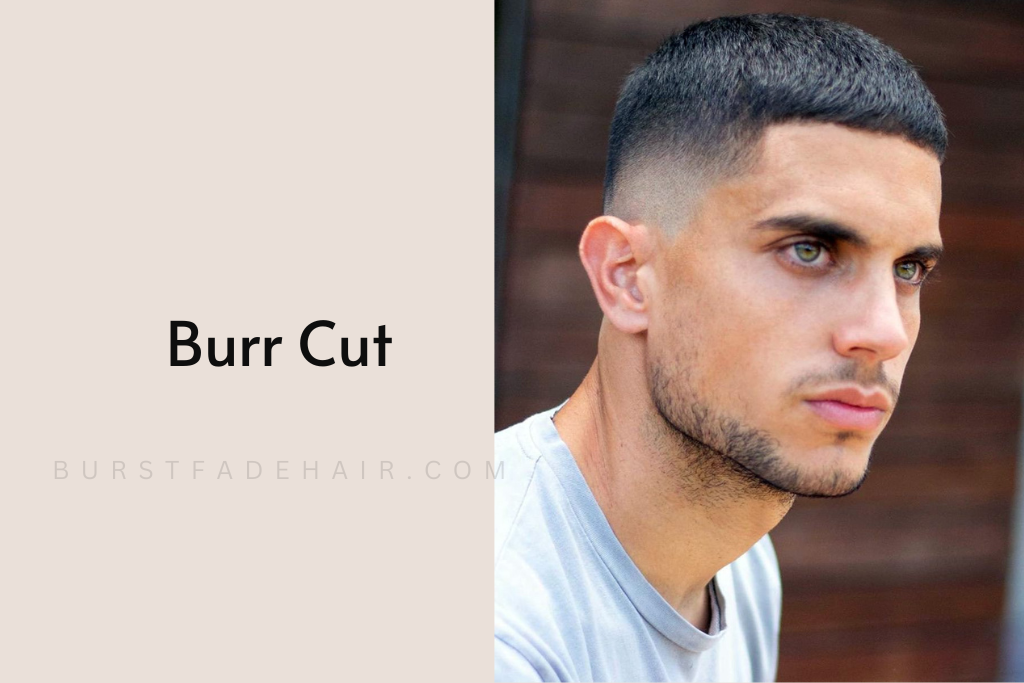 Burr Cut