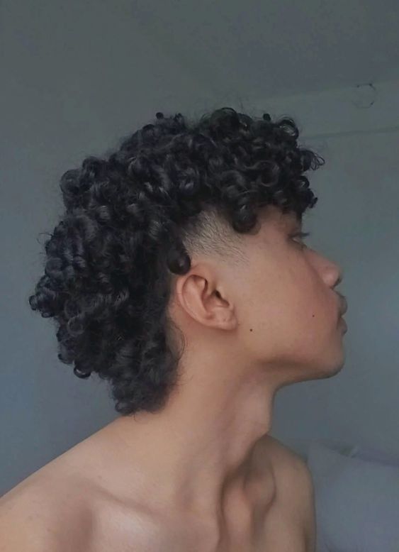 Curly Afro Mullet