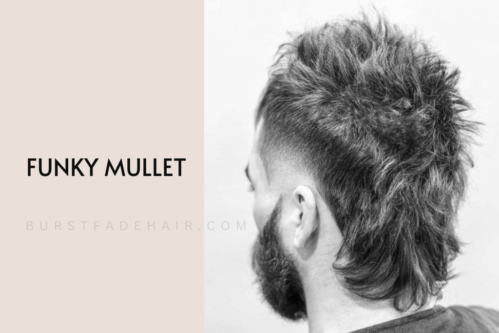 Funky Mullet & Fade